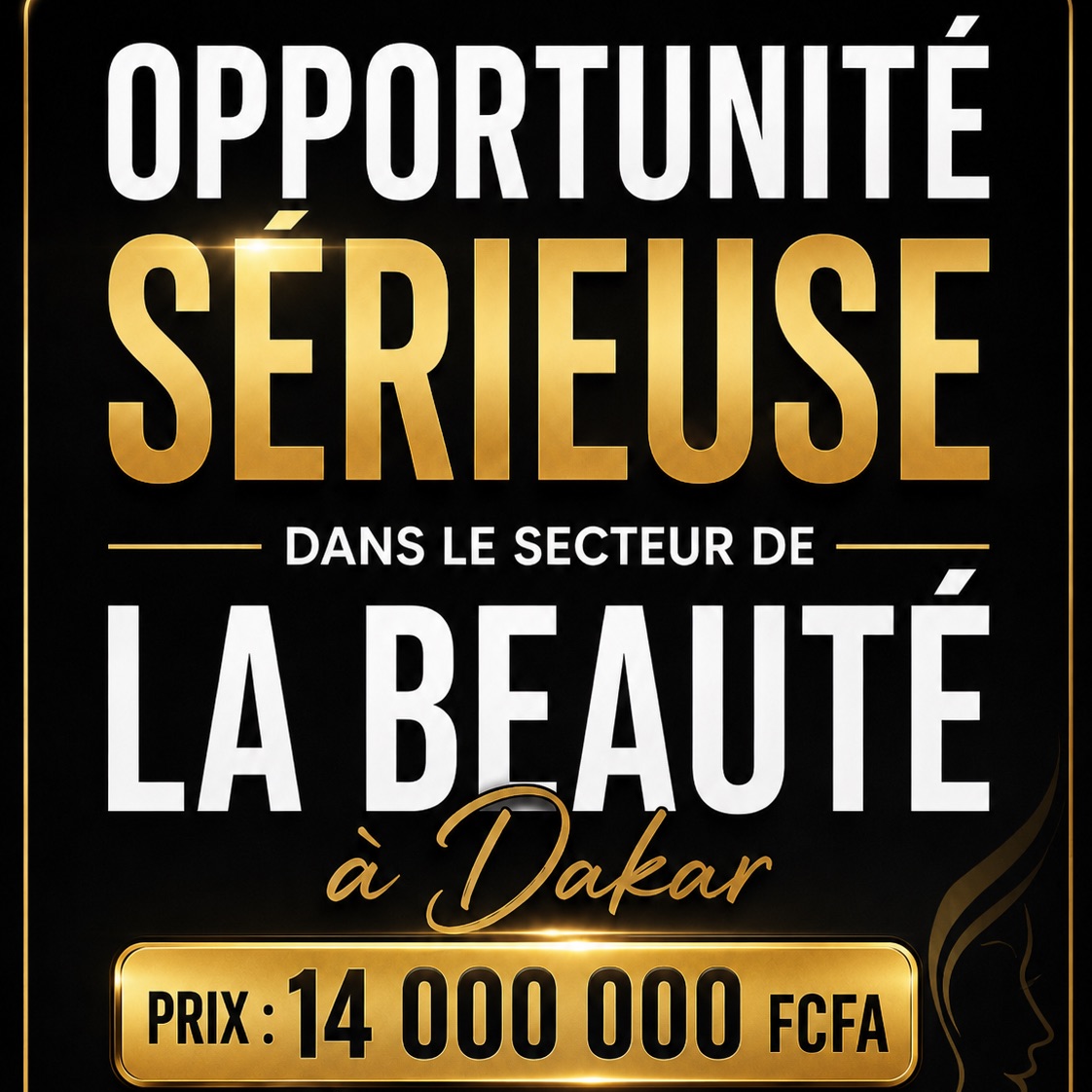 Salon de Beauté de Qualité à Céder à Dakar - Affaire en Or !
