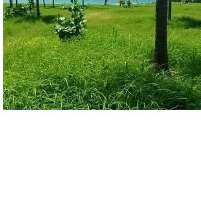 Terrain 417 m2 à vendre saly